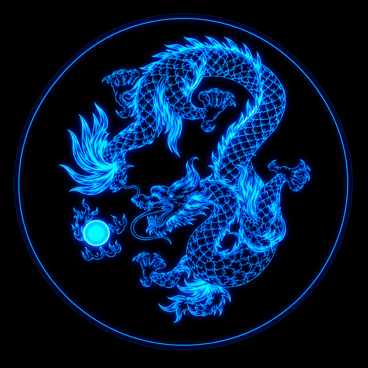 Shadow Dragon photo 3